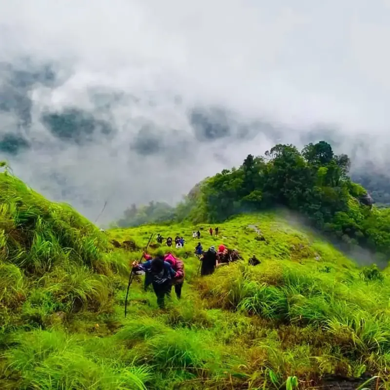 Trekkers on a misty hill trail in Kakkadampoyil