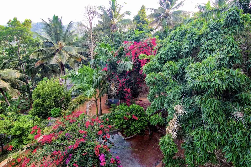 Lush tropical gardens and bougainvillea at Purayil Resort, Kakkadampoyil