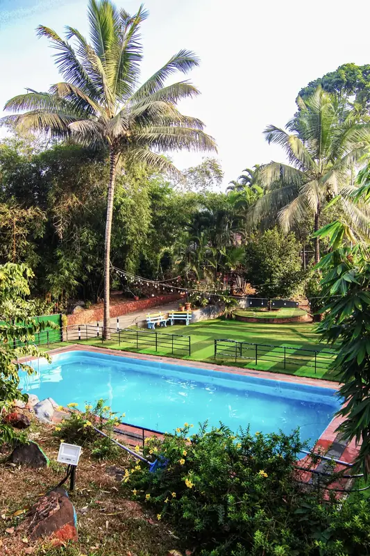Resort swimming pool with green lawn and tropical plants